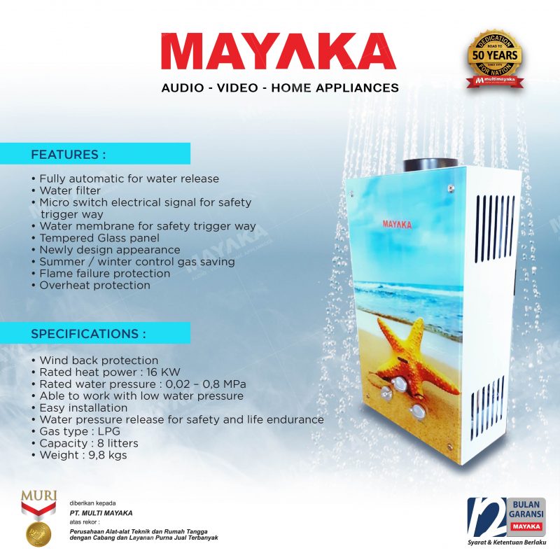 GAS WATER HEATER WH-808 ZF - Image 2