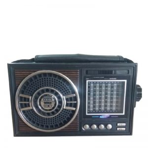 MAYAKA RADIO RD-6101 S