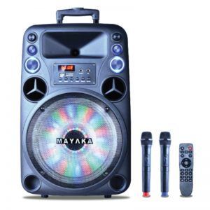 MAYAKA SPEAKER TROLLEY SPKT-012 AD